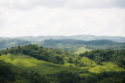 papa-nature:   	Croatia by Ines Perkovic  