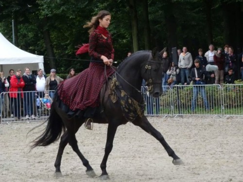 AtilaLusitano, Stallion15.1hhBorn 2005