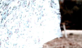 tumblr_p3prw46hRx1u5i578o10_r1_400.gif