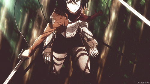 MIKASA'S SCARF.