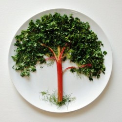 whatthecool:  Food Art by Laruen Purnell. She creates these culinary creations made from vegetables and fruits. The goal is to transform the sometimes boring food in the shape of animals and flowers with colorful elements.  [via Fubiz]