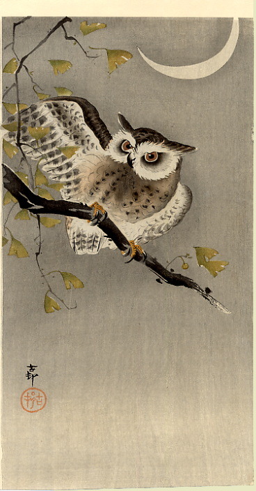 variousnews-blog: Scops owl under crescent moon, by Ohara Koson, ca.1915cutt.ly/sG40NuE