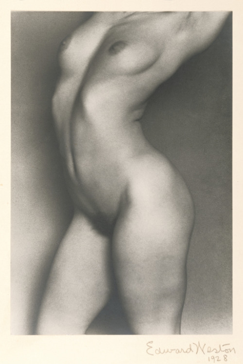 Edward Weston: Nude, possibly Bertha Wardell, 1928 