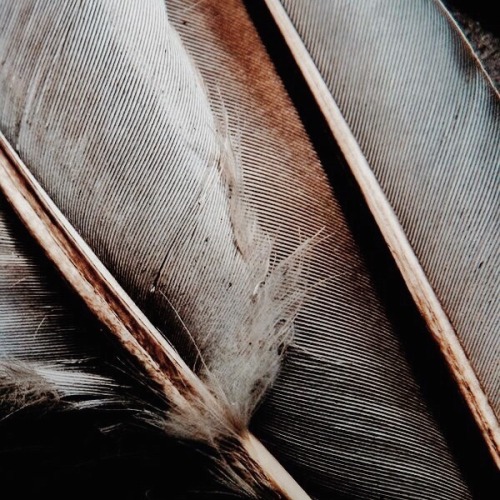 Greek Mythology From A To Z: