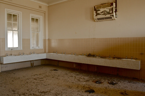 abandoned-playgrounds:Notice all the dead birds and their droppings? The St. John’s Orphanage For Bo