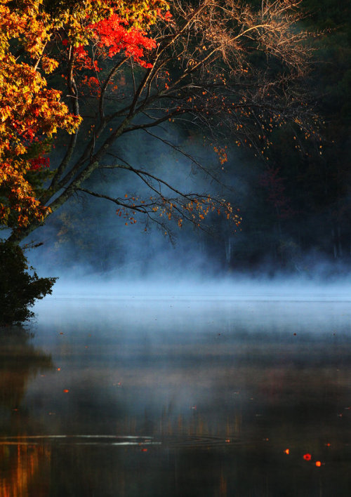 radivs:Autumn Pond by Liia Becker