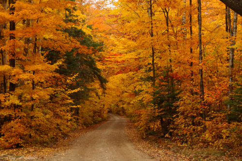 simplethingsnaturephotography:Eastern Upper Peninsula, MichiganOctober 14, 2018