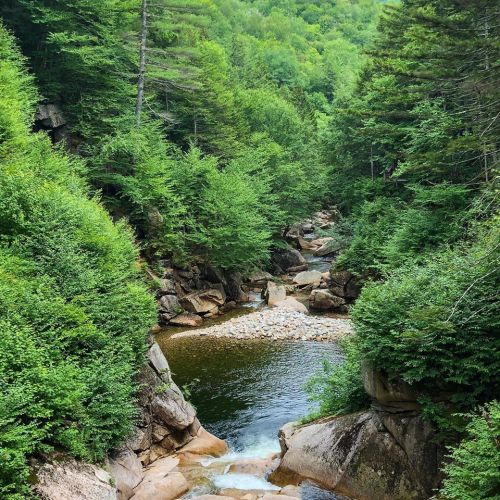 wiildness:New Hampshire by Katie McGowan (2020). please don’t delete the caption as it credits the o