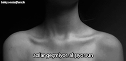 https://69.media.tumblr.com/ed2c748b98c7ed90bd9fdfad99366323/tumblr_ntpj7rsUh51uqnm4yo1_500.gif