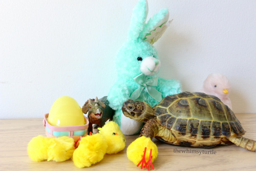 Hoppy Easter, friends!    Wishing you all an egg-stra delicious holiday!  