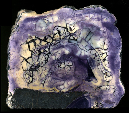 Tiffany Stone - Utah(Also known as Opalized Fluorite, Opal Fluorite, Bertrandite, Ice Cream Opalite,