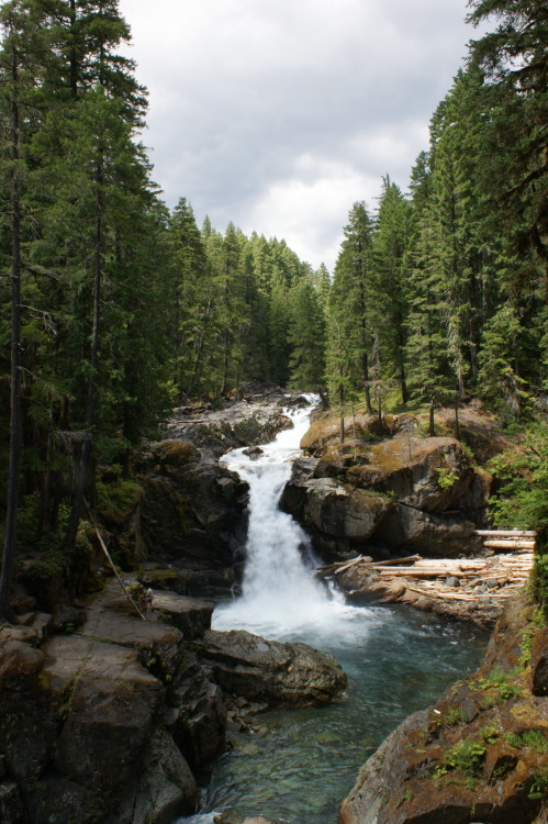 frommylimitedtravels:  Along the Ohanapecosh River - Silver Falls