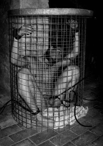 Slavefarmer
