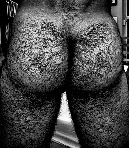 galaponjr:papabearscum:BEAUTIFUL Ohhhh very nice Ass n Yummy too I CANT stop Kissing and eating this beautiful hairy Ass!!! Ohh yeah  SUPER CUL BIEN POILU !