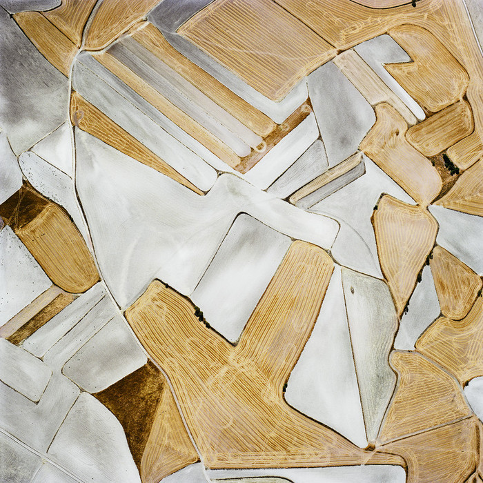 nevver:  Pattern recognition