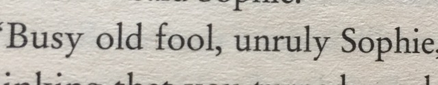 90sjeno:90sjeno:90sjeno:a compilation of things and names howl calls sophie in the