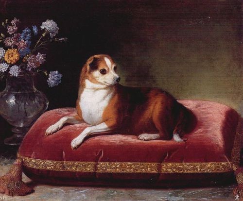paintingispoetry:Jean Ranc, La perra Liceta, ca. 1723-35