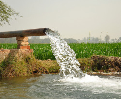 jaazpaul:  um-er:  Tube Well by Asif Saeed [ BACK FROM CHOLISTAN…] on Flickr.   ;(