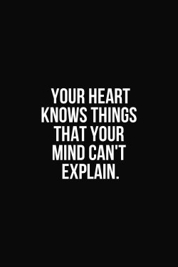 yes1day:  True true 