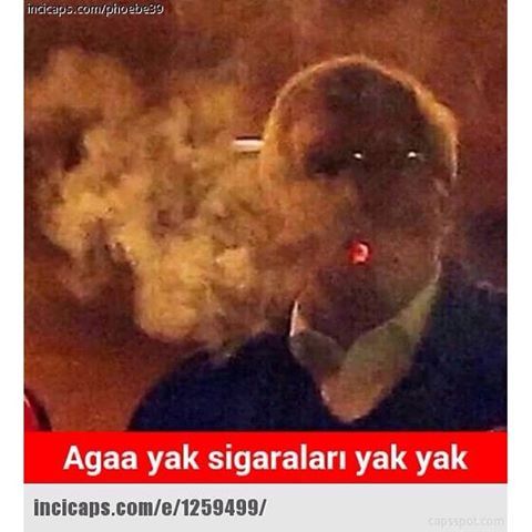 Agaa yak sigaraları yak yak