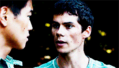 lovestory:  If you ain’t scared… you ain’t human. The Maze Runner (2014) 