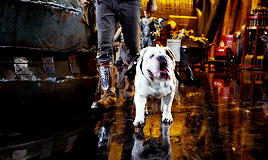 akarickywhittle:  Pacific Rim (2013), dir. Guillermo del Toro When I was a kid, whenever