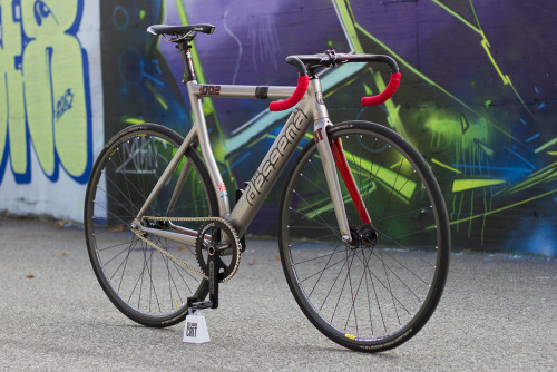 irminsulfixed: Desgena D02 Criterium Source