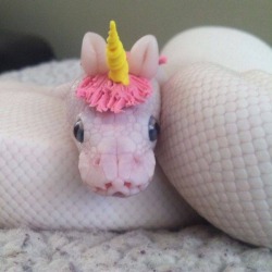 awwww-cute:  Snake with a unicorn hat (Source: