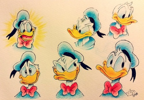 celebi9:Donald Duck sketches with crayola colored pencils!