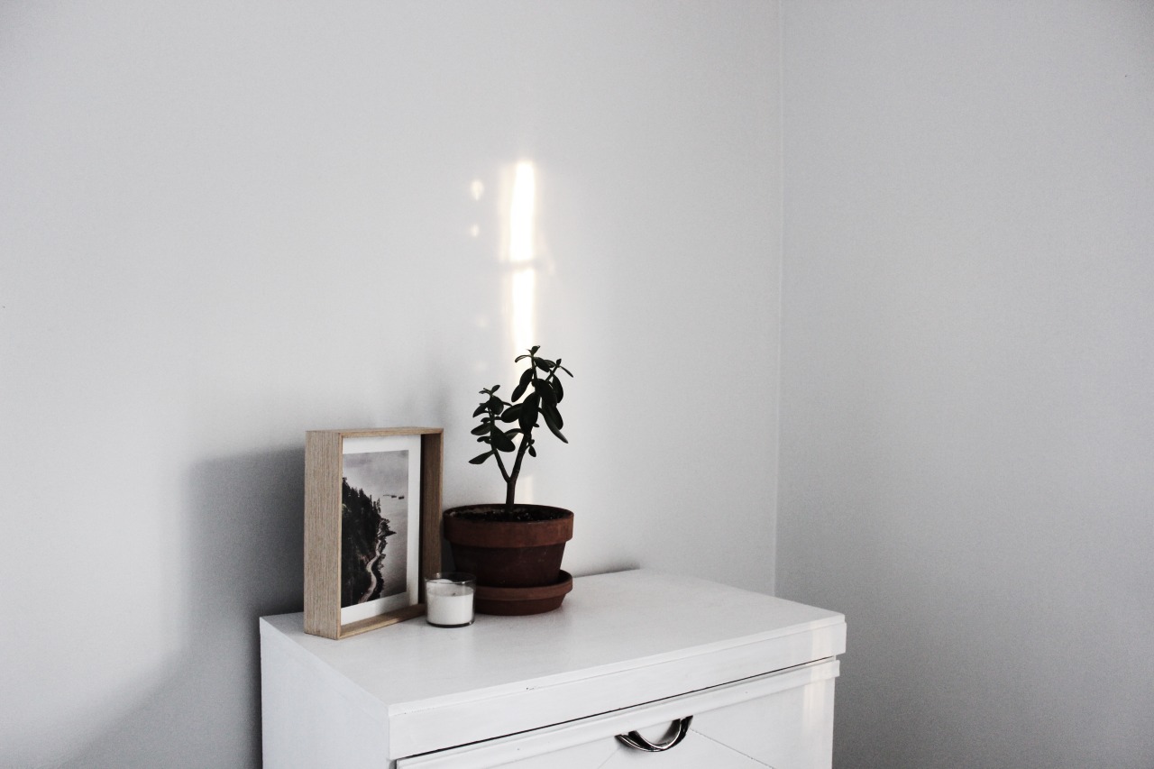 welcomehomeward:  Creating Your First Home c/o Homeward Blog 