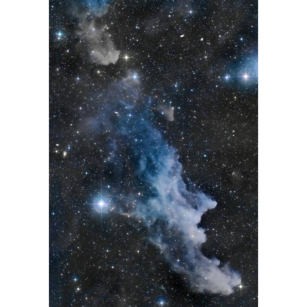 The Witch Head Nebula #nasa #apod #witchhead #nebula #ic2118 #rigel #Orion #star