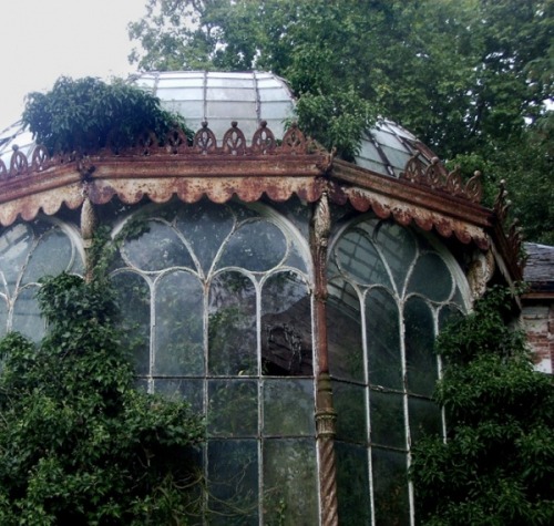 steampunktendencies: Abandoned Greenhouse 