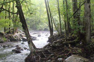 Sex Gratto Falls today in Tennessee with @katiiie-lynn pictures