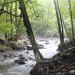 XXX Gratto Falls today in Tennessee with @katiiie-lynn photo