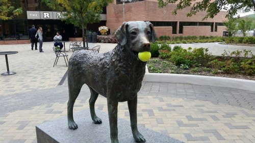 tiffanarchy: penroseparticle: squigglydigg: Somebody gave our mascot statue a tennis ball. good he d