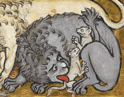 lion with the cubsBestiary, England ca. 1200-1210. British Library, Royal 12 C XIX, fol. 6r