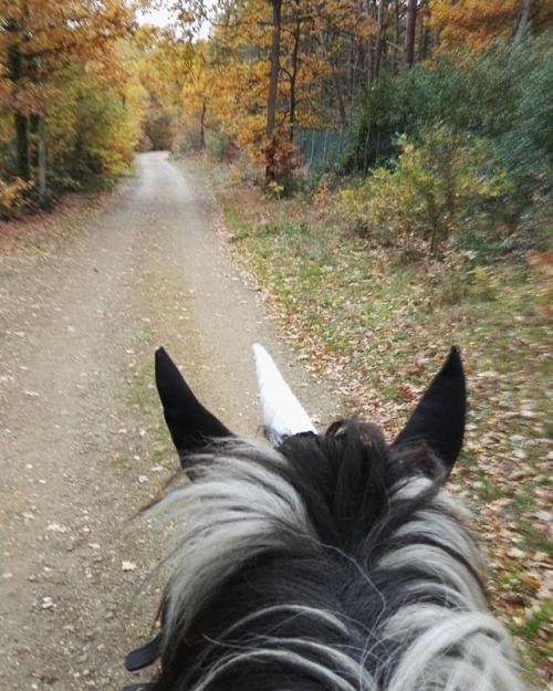  I’m riding in the rain On a unicorn! And @gwen_ummels was riding on a panter#rain #autumn #