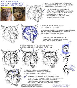 drawingden:  My Approach to Animal Expressions…