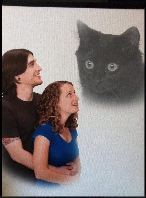 cvmfest:  spookyerotics:  my friends took this picture of them and their cat at Sears