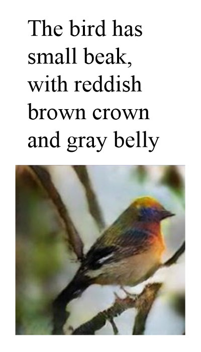 odditycollector: StackGAN: Text to Photo-realistic Image Synthesiswith Stacked Generative Adversaria