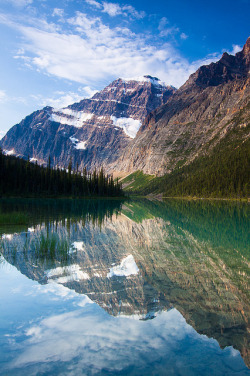 forbiddenforrest:  _MG_2906 - Cavell Lake.   ©Jerry Mercier by jerry mercier on Flickr.