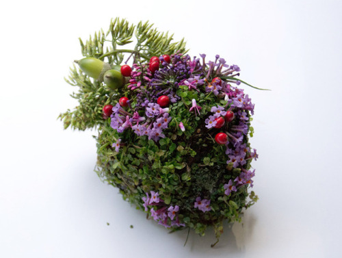 womansart: This delicate series of sculpted plants is part of a project by artist Camila Carlow titl