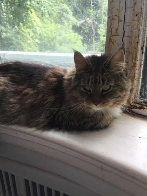 Piper has been spending her summer constantly loafing