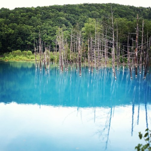 instagram:Hokkaido, Japan’s Iridescent Blue Pond (青い池)See more photos from Hokkaido’s Blue Pond by v