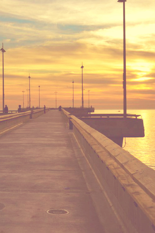 infamousgod:  Venice Beach pier by Greg Moore  