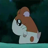 anarchycupcake:  Toonami’s Arsenal [29/88]: Hamtaro (2002 - 2004) “Well … they