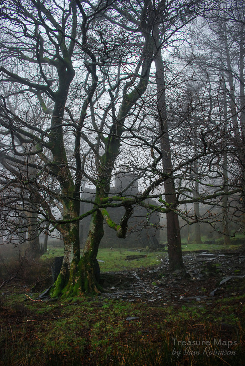 thefierybiscuit:Ruins of the Rhosydd managers house
