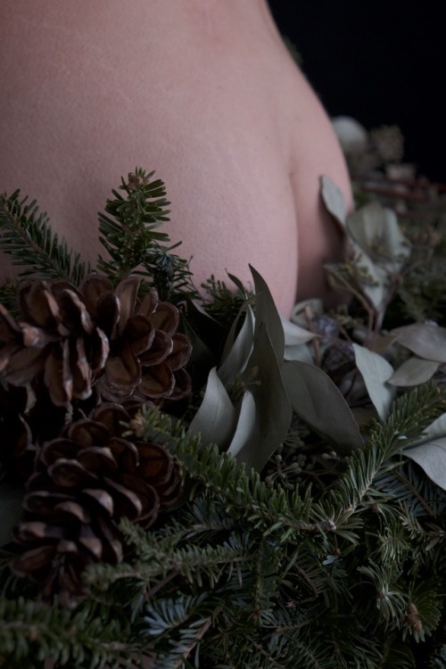 brookelynne:  winter wreath | self-portraits •✧{ more on patreon }✧•  patreon.com/brookelynne