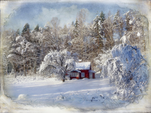 Winter in the country. by Bessula on Flickr.