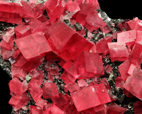 phrux:fuckyeahmineralogy:Red Beryl [x]Aquamarine [x]Pyrite on Rhodochrosite [x]Fluorite [x]Malachite